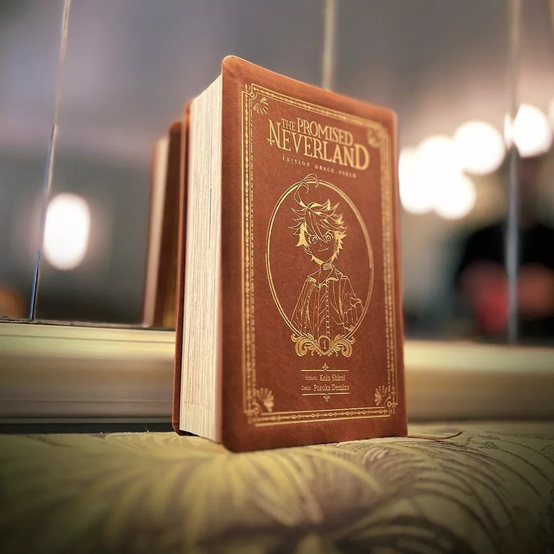 https://i.postimg.cc/g2zx9tgD/the-promised-neverland-edition-grace-field.jpg