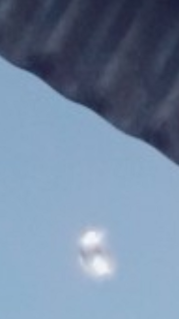 49431923-368319553994700-7983671302147801088-n