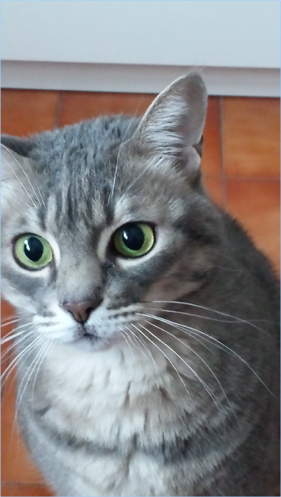 [Image: 6tnb5e3yzba8.png]