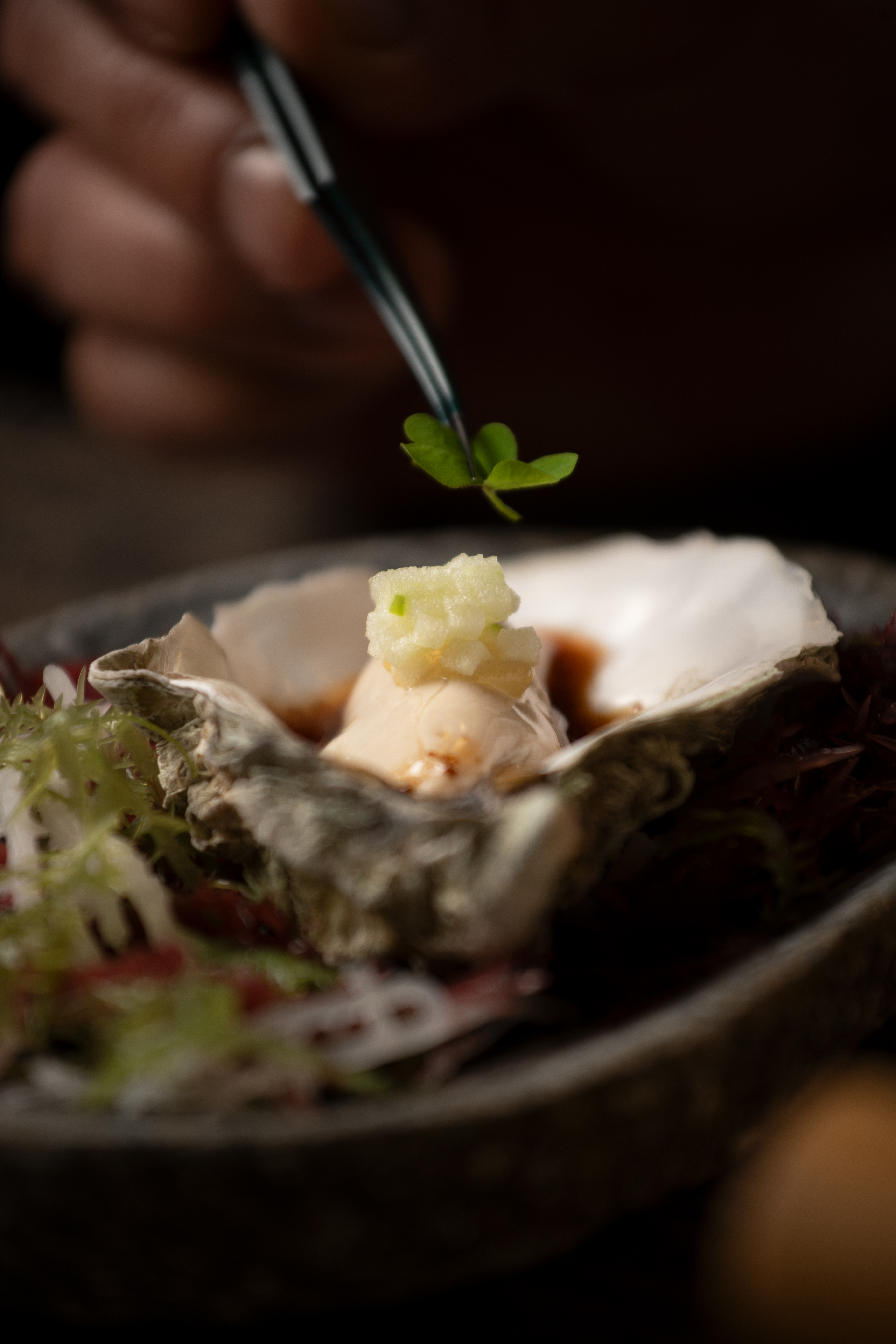 Byakko Dining Experience