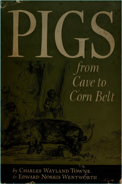 [Kép: p33tj4vf8gmj.png]