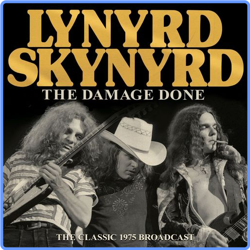 Lynyrd Skynyrd - The Damage Done (2021) mp3 320 Kbps
