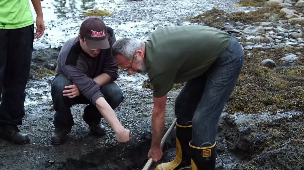 [Image: 7gpedy0sq4p2.jpg]