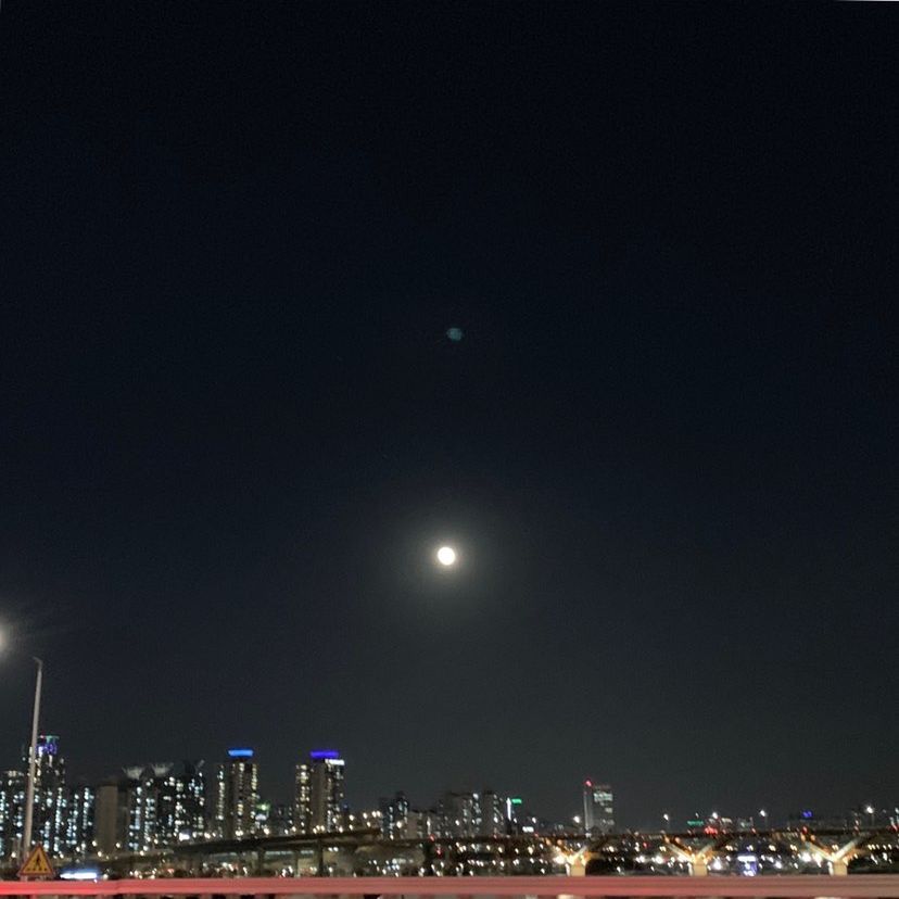 133871690-798513154213686-97304088647891