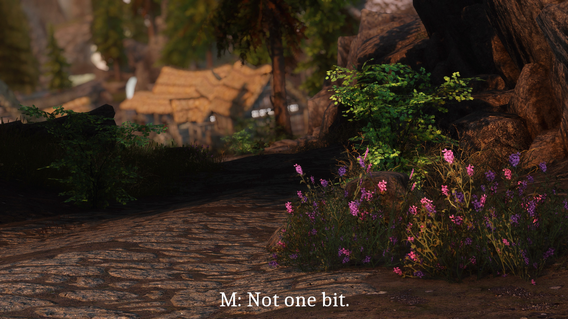 38text.jpg