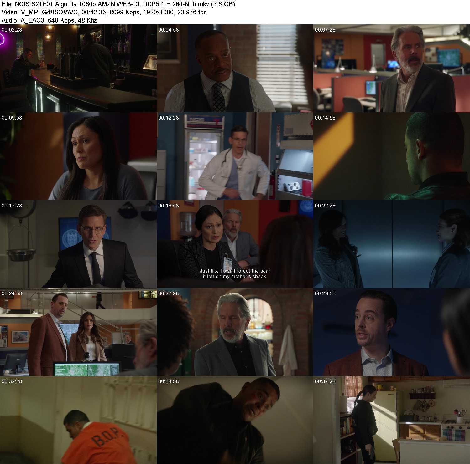 [Image: aaav4vceg301.jpg]