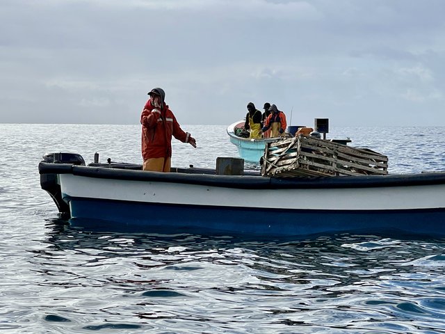 [Linked Image from i.postimg.cc]