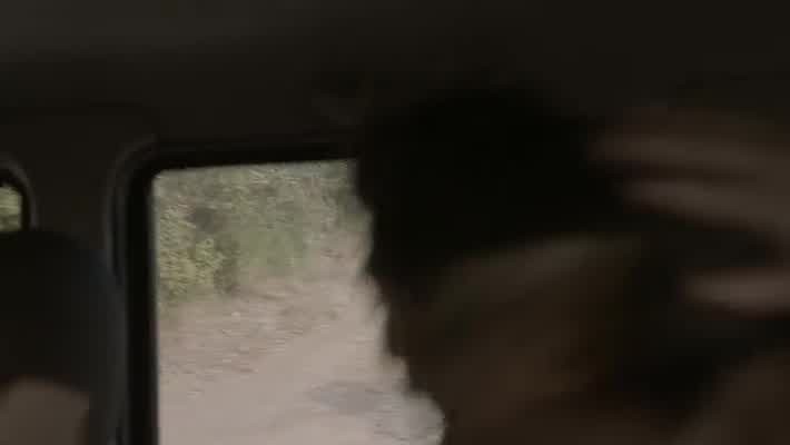 [Image: n0vv4b12qkmc.jpg]