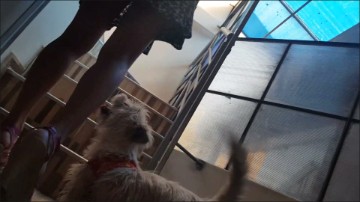 [Image: Voyeur50775094611.jpg]
