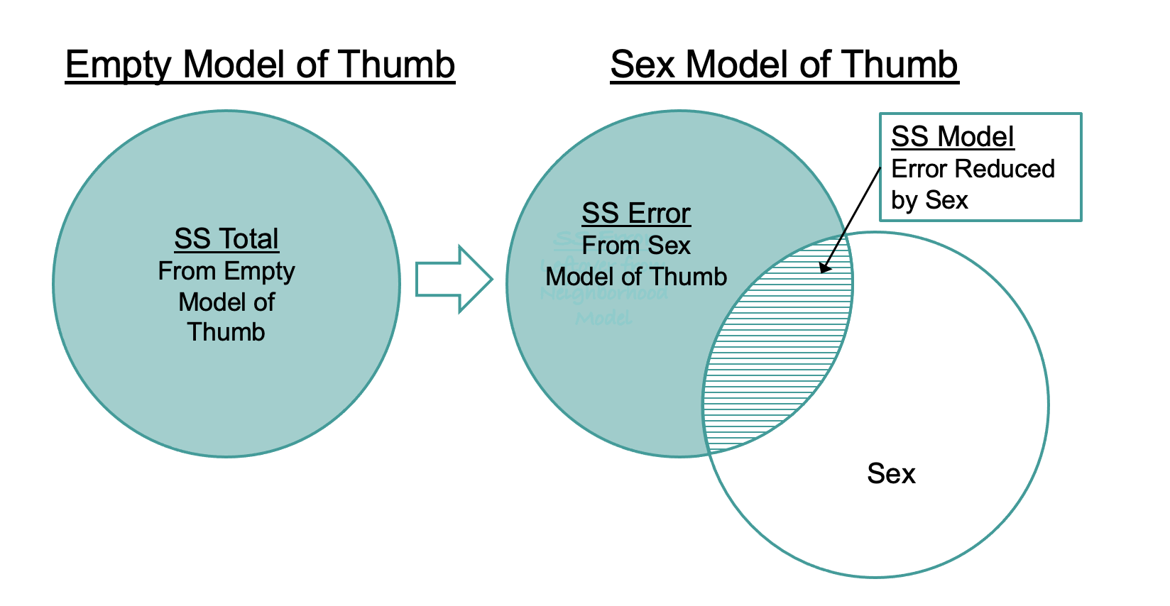 On the left, a single circle represents SS Total from the Empty Model of Thumb. An arrow from that circle points to a Venn diagram of two partially overlapping circles to the right. One circle is labeled as SS Error from the Sex Model of Thumb, and the other circle is labeled as Sex. The intersection where the two circles overlap is labeled as Error Reduced by Sex.