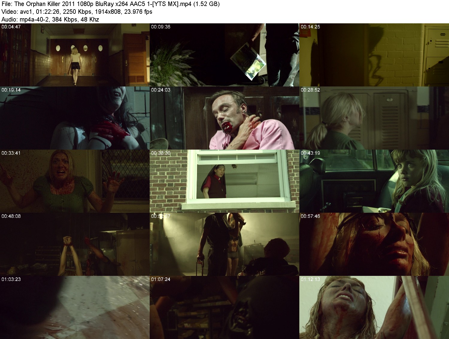 myho40d5ql3r.jpg