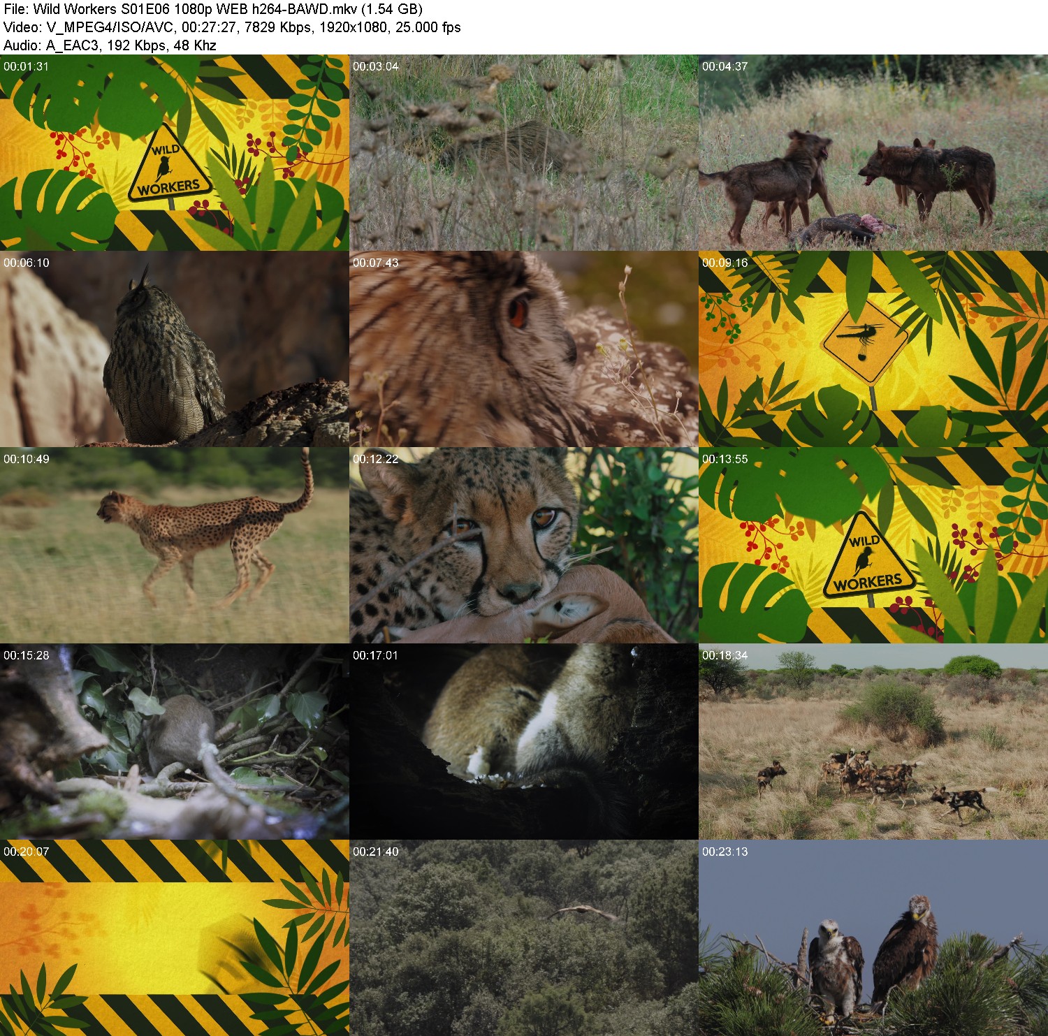 [Image: v01iqa39fghp.jpg]