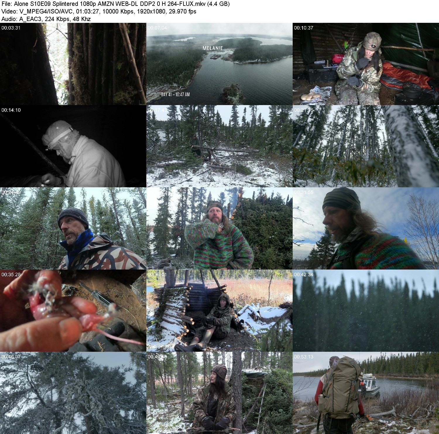 [Image: 6powny92qe1l.jpg]