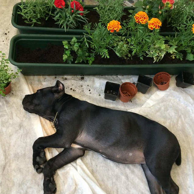 уработалась