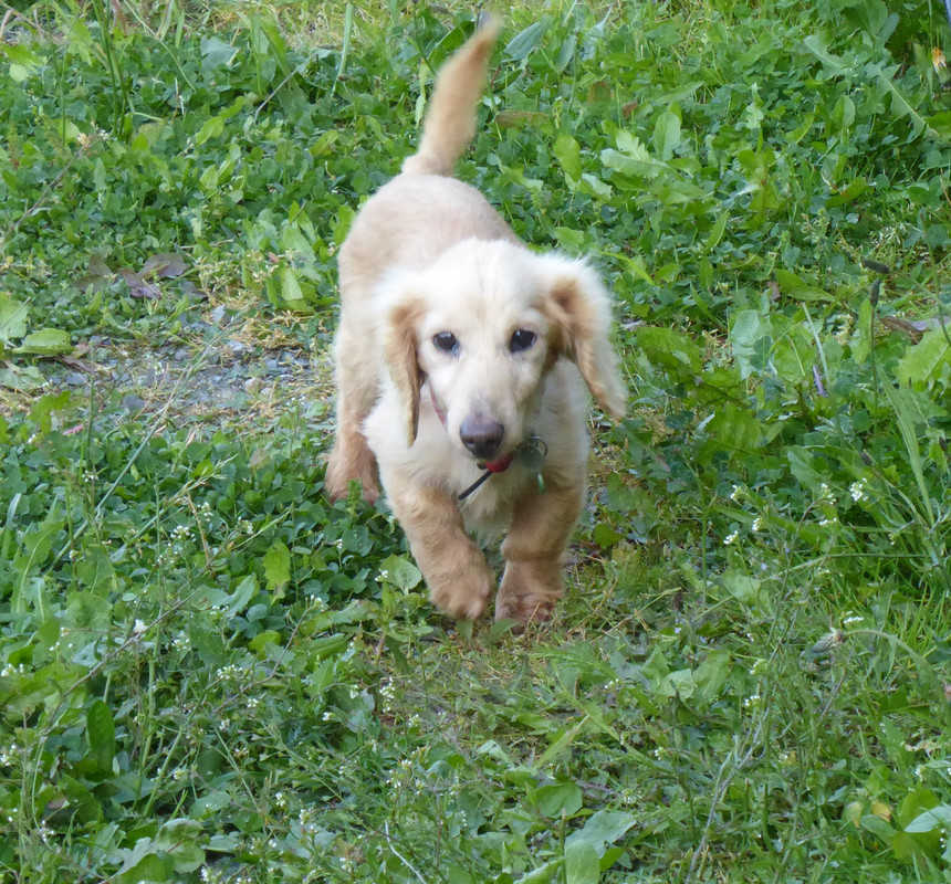 [Image: P1040953.jpg]