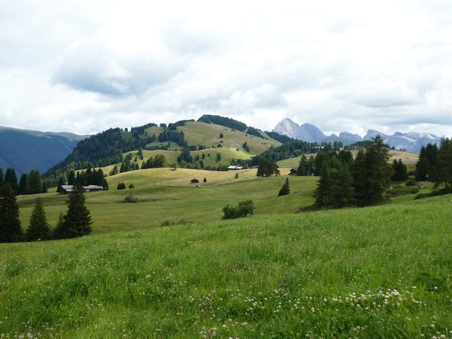 DÍA 6 – Alpe di Siusi / Lago di Carezza - Dolomitas y noreste de Italia en verano de 2025 (En construcción) (5)