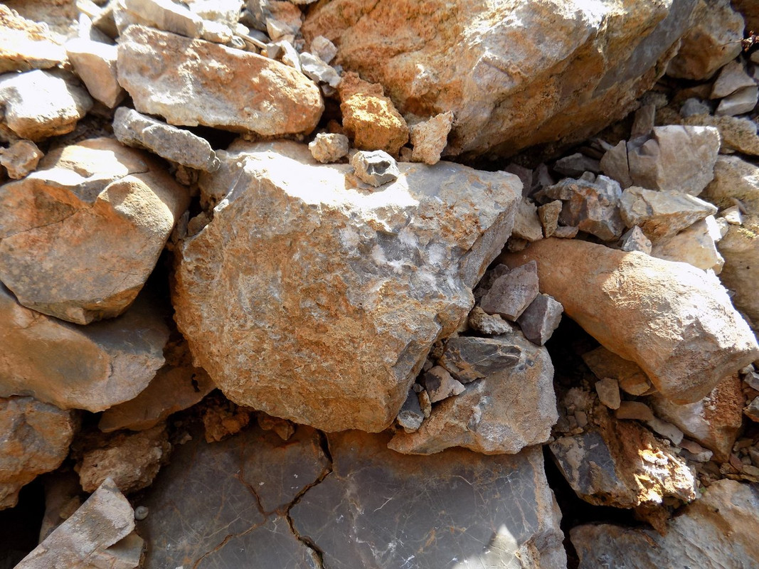 καλωσορισμα