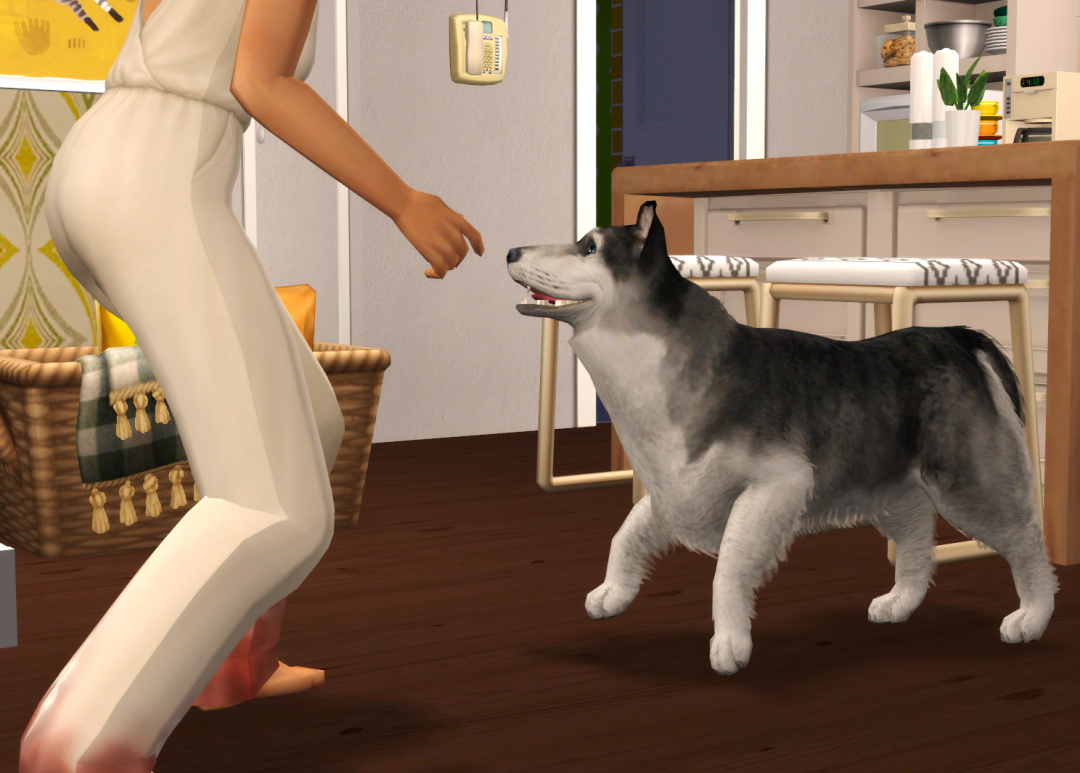 Sims2-EP9-RPC-2023-08-13-15-12-32-46