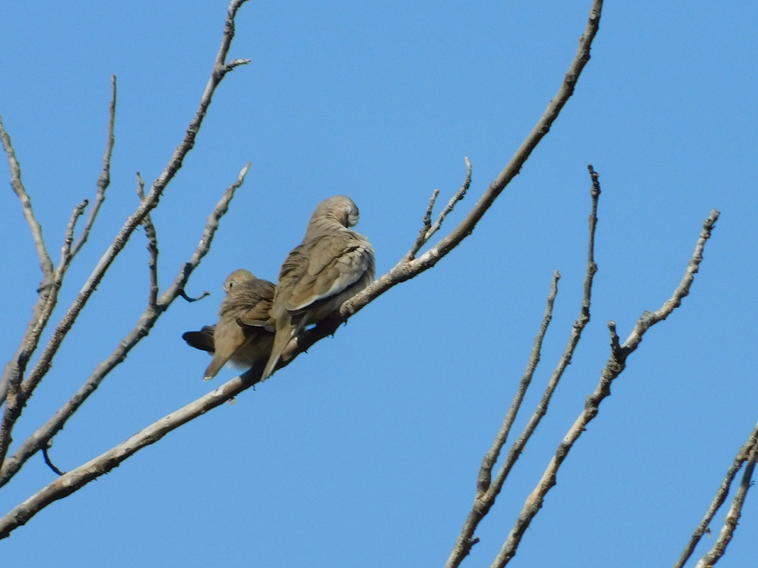 DSCN0493.jpg