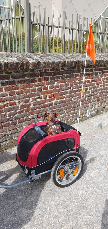 [Image: IMG-20230816-WA0003.jpg]