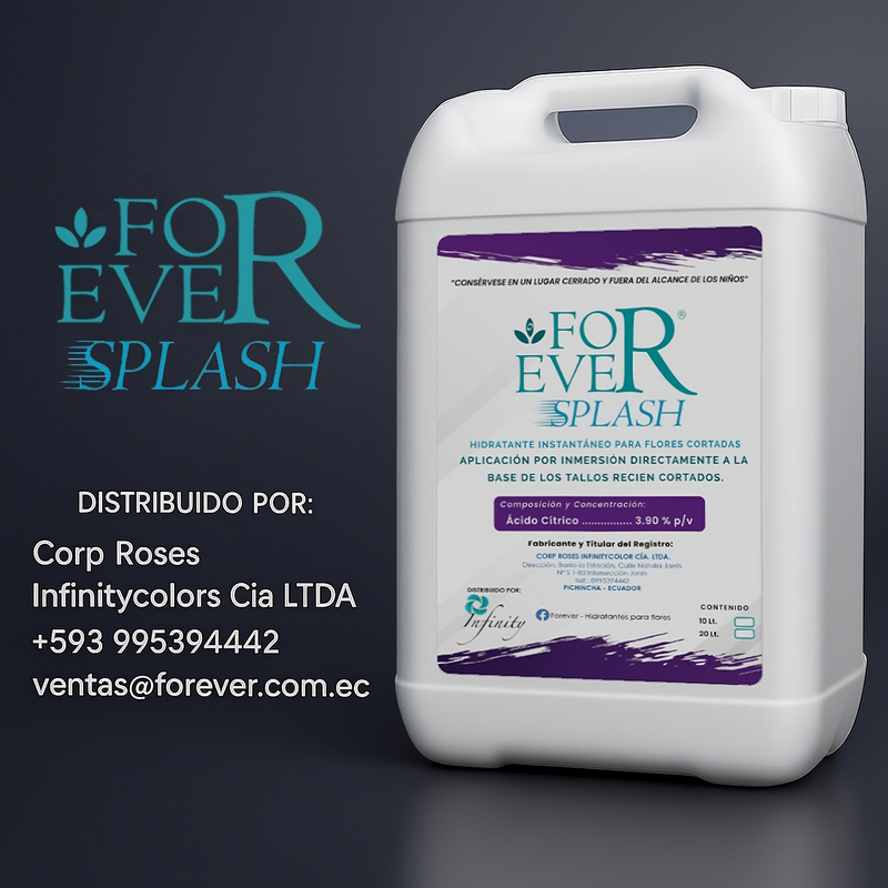 Forever Splash
