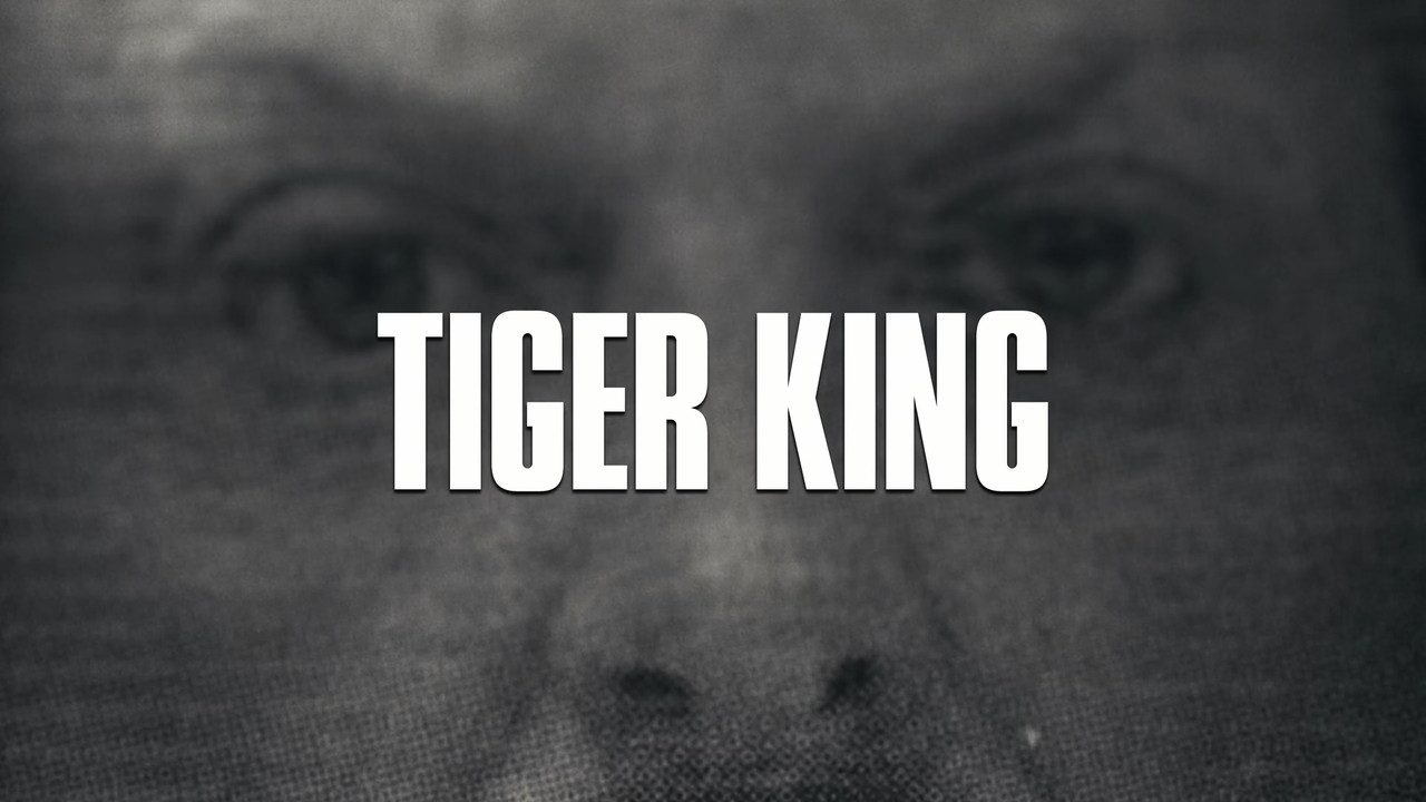 Tiger King (2020) S01E01 Not Your Average Joe (1080p AMZN Webrip x265 10bit EAC3 5.1 - HxD) [TAoE].m