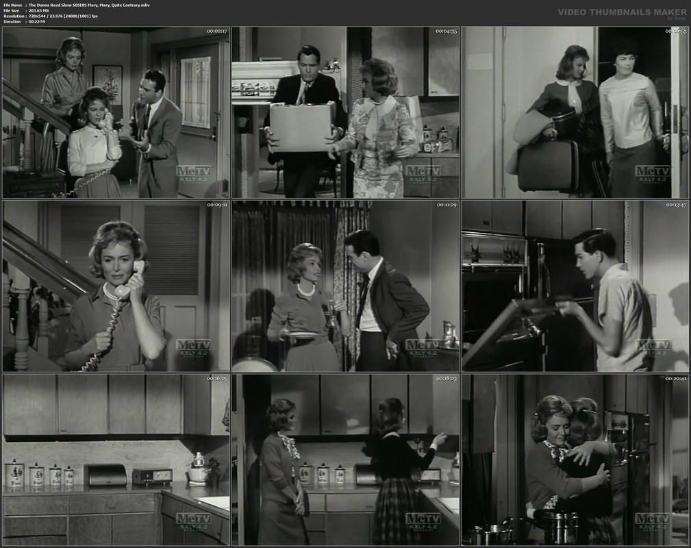 The Donna Reed Show S05E05 Mary, Mary, Quite Contrary.mkv