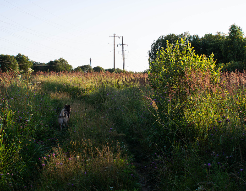 P7200006-Улучшено-Ум. шума