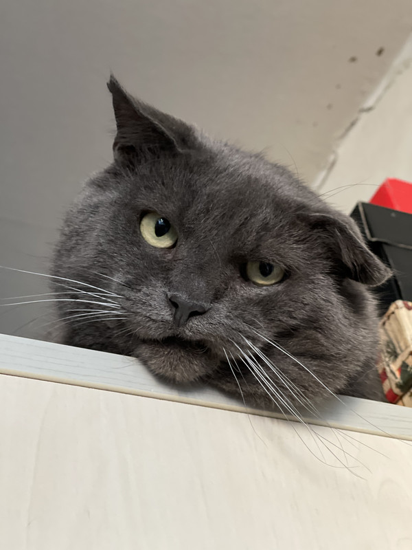 9048DE5F-C70E-4707-AE18-3A217CA56466