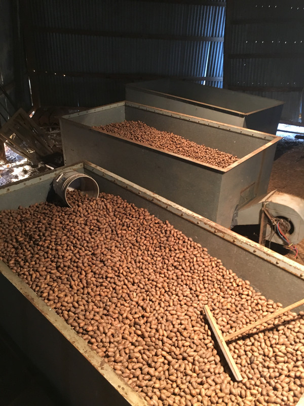 CAAEDB78-AAD4-472B-83DC-212959EF4D53