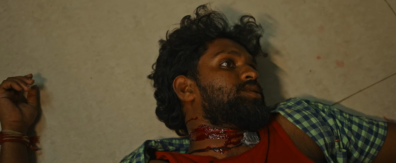Gadhi 2025 WebRip [Telugu] 480p 720p ESub Screenshot