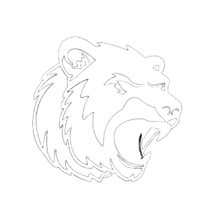 Nordic Cheats Logo