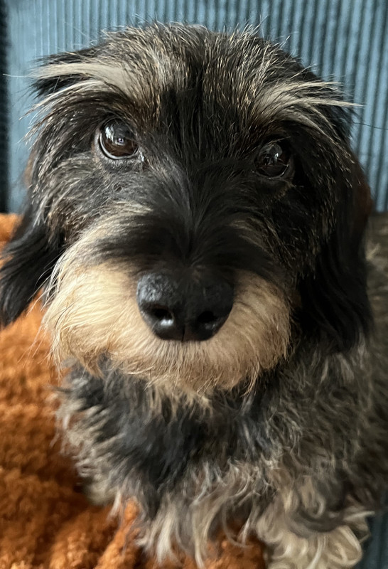 96835C6F-6678-4F0C-8321-772D65A2A0D9