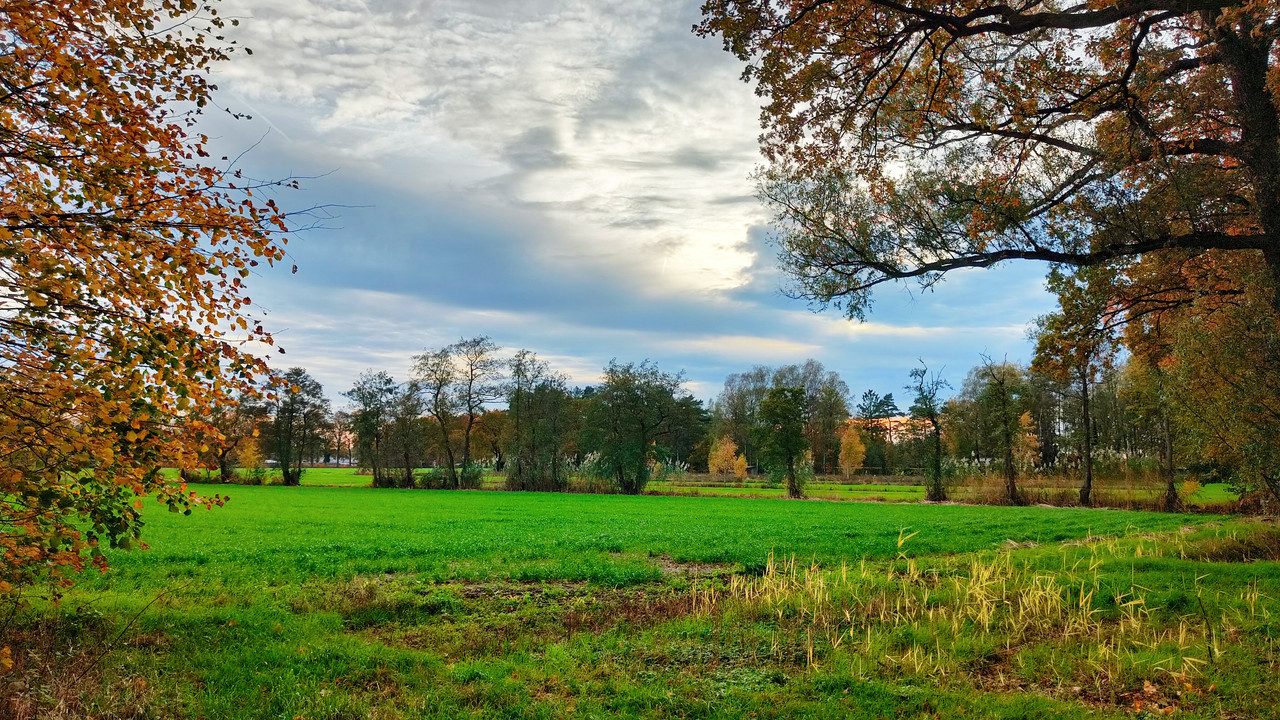 Lumii 20251104 163231823