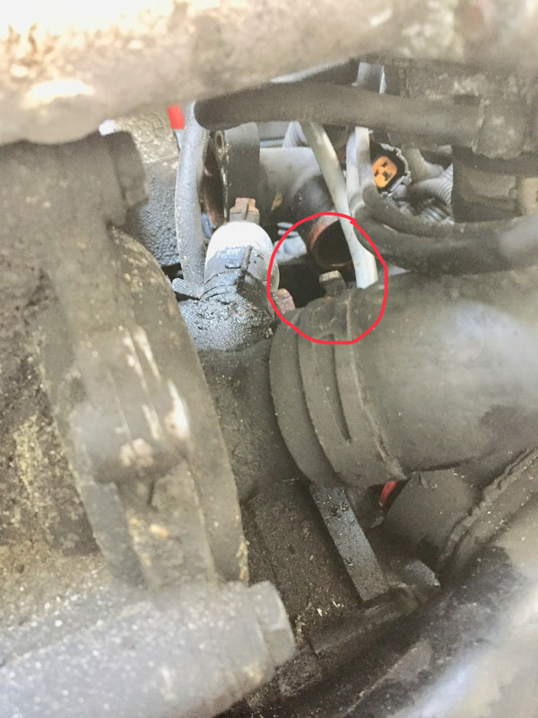 1E901A2D-8499-40CD-879C-01F7A11E8E3E