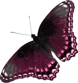 71