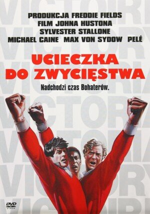 17726353583965674746429968010808