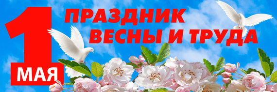 oie-1113839rdyluk-NV
