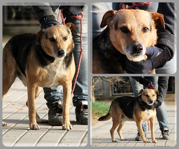 BeFunky-collage (24)