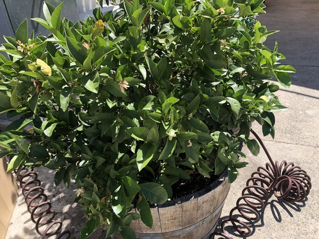 D1F4235A-6A61-4C93-B4CE-53BD01B02915