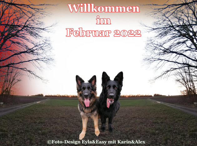 An den Beitrag angehängtes Bild: https://i.postimg.cc/gJ3Ckv2h/GB-04-02-2022.png