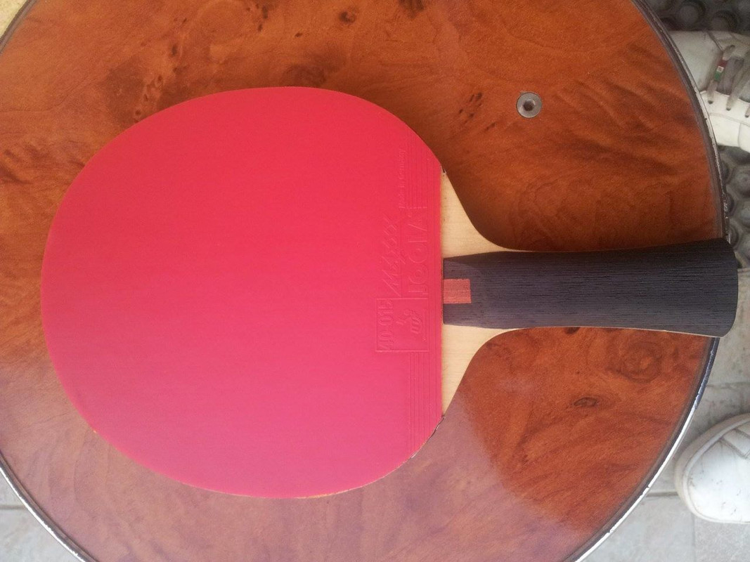 1966097_779168128761558_1359831772_o