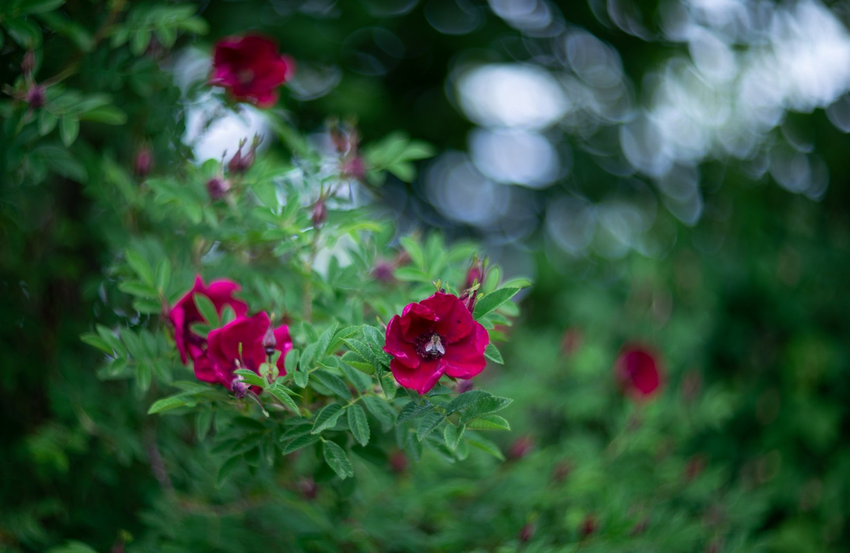 IMG-7c6b57f5a18d85f15aece19368e8b733-V