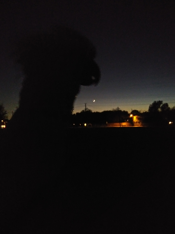 20201116-181540-v2.jpg