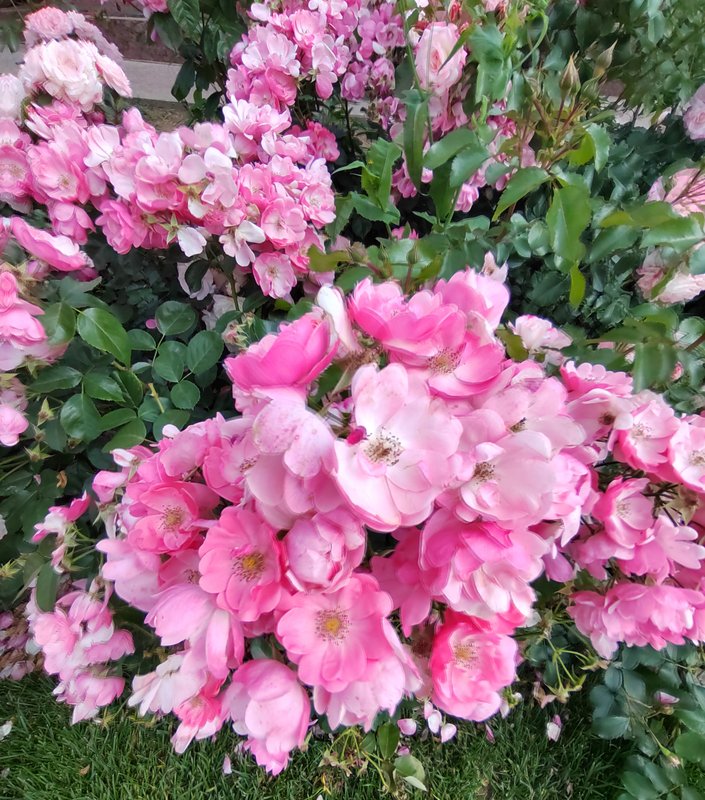 https://i.postimg.cc/gJ4NRzb4/037-IMG-20230706-113238.jpg