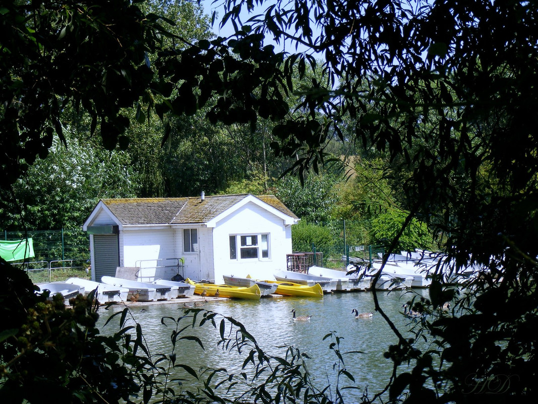 Boats-Hedge-standbro-HD.jpg
