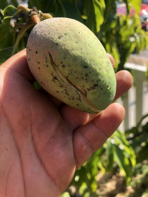 551B5ACF-95BC-4FD0-B33A-6E21E8F4C12F