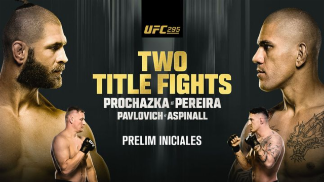 Резултати от UFC 295