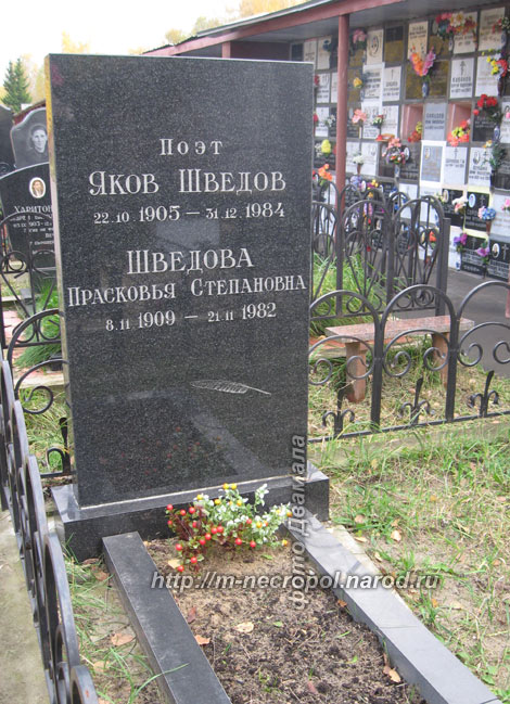 shvedov-yaz1