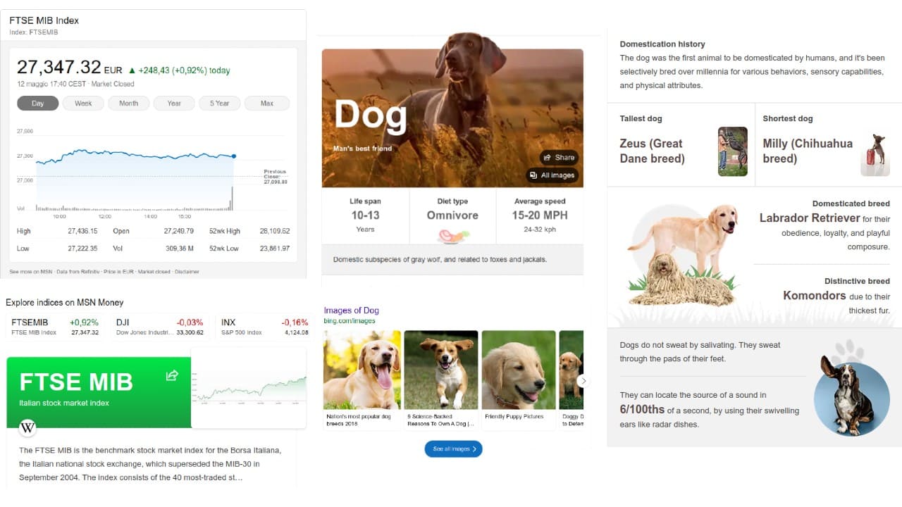 bing-search-AI-ftsemib-dog